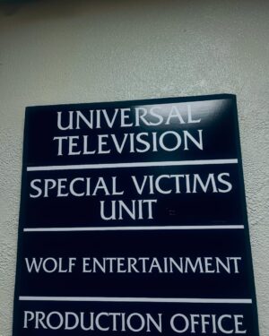 Stacey Farber Instagram - Dun-dun! Performing on “Law & Order” is—still, 26 seasons later—widely recognized as a rite of passage for any New York actor, and I’m honored to be doing it now. Especially on “SVU”, which I’m told is the longest running primetime live-action series on American TV.  Iconic! I’d dreamt of playing one of two opposing characters in L&O’s courtroom: a victim delivering a [very poignant!] testimony OR a psychopathic criminal outed through a [very shocking!] plot twist. Tomorrow, I play the bigger role I’d never dared to consider; a part that aligns so gratifyingly with who I am offscreen: the inexhaustible, lone wolf PROSECUTOR. 🙌🏻🗽🦅⚖️🎬 Catch my episode, “Accomplice Liability”, at 9pm ET on NBC and know I was fulfilled creatively making it. ❤️ #lawandorder #svu @nbclawandorder @nbc