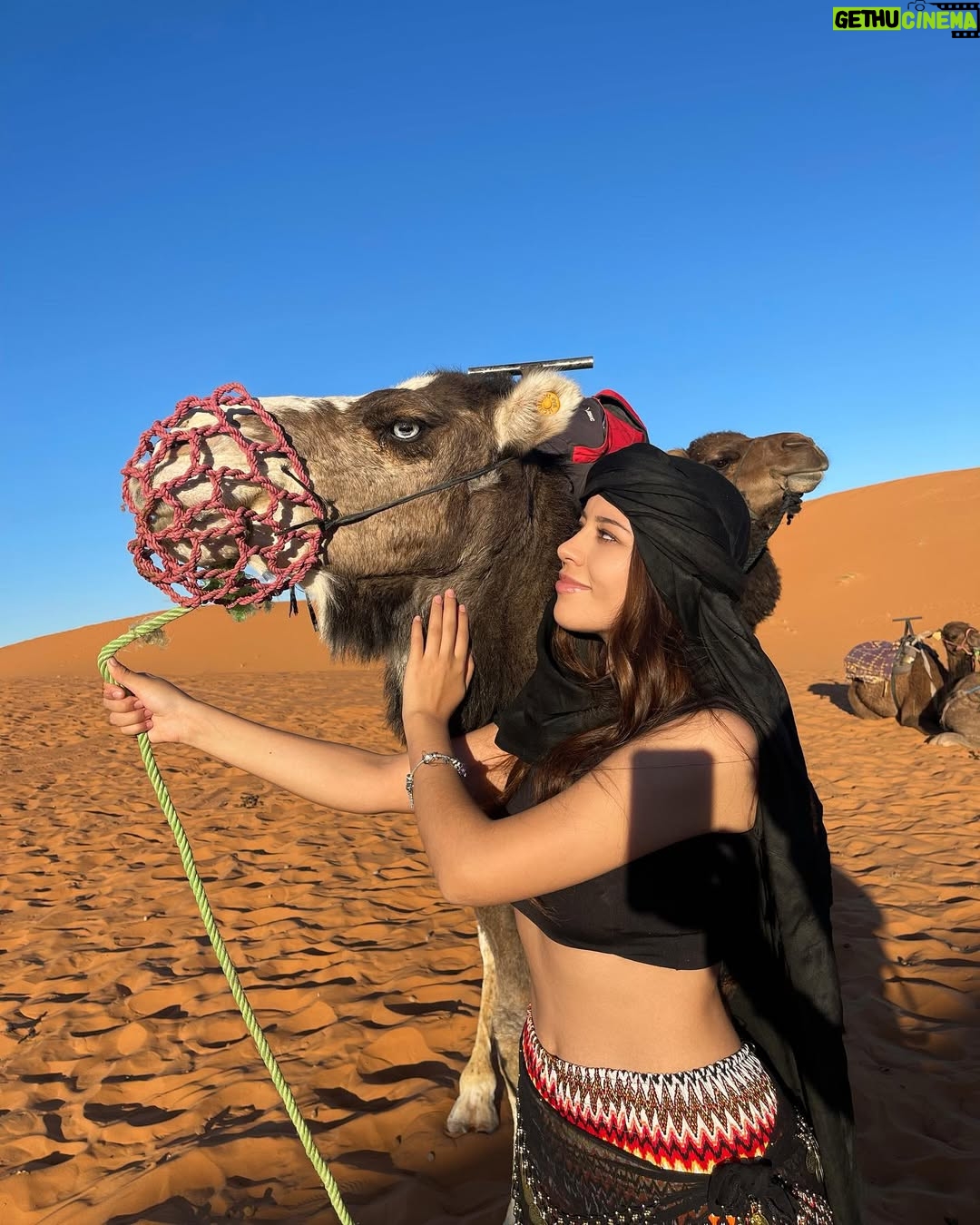 Sury Sadai - 143.7K Likes - Me encontré unos camewitos 🐫❤️😍 
.
.
.
#love #desert #sahara #arabe #model #actriz #vacation #honeymoon
