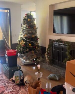Taja V. Simpson Instagram - My dearest followers of festive foolishness,

They say the first few days on set are either electric… or flatter than day-old champagne. But this? This was a vibe. A whole mood, even. The kind of energy you don’t just walk into—you feel it.

It started subtle. A little sparkle here, a little cheer there. The camera crew humming Mariah under their breath. People smiling between takes like they actually like their jobs. Suspicious, right?

Enter the one and only Tamala Jones—yes, that Tamala, who once melted hearts opposite Bill Bellamy in The Brothers (iconic, don’t argue). On what was either Day Four or Five, she stepped onto set, took one look around, and said what we were all thinking: “There’s something different about this place.”

And she wasn’t wrong.

Even the grip was out here singing like he was auditioning for The Voice. (If you’ve ever met a grip, you know that’s like spotting a unicorn in the wild.)

But here’s where things got real: there were no big welcome gifts, no expensive swag bags. Instead, something far more thoughtful made its way to each cast member: letters.

Typed, yes—but personalized, intentional, and full of heart. Every actor—from Tamala to Shanti Lowry, Maurice Hall to Mo Ashley—got one. And let me tell you, they were touched. Not Hollywood “aww thanks” touched, but real, “yo, I feel seen” type of touched.

Shanti said it best: “I felt valued. Like, they actually see me as an artist.” And Tamala? Sis straight-up said, “I feel loved.” In this industry? That’s rarer than a director wrapping early.

Even birthday boy Bill Bellamy showed up glowing with good energy and jokes, proving once again that charm doesn’t age—it evolves.

So yes, this might be an indie. And no, they’re not balling out with Marvel money. But the atmosphere? Unmatched. The cast? Connected. The vibe? Immaculate.

And as for this mysterious narrator? Let’s just say I’ve got more letters to deliver. Stay tuned.

#WorstChristmasEver #HolidayVibesOnly #TamalaAndBillReunited #OnSetMagic #SimpsonMcGowanStudios #MotivationUnlimited #PattersonHouseProductions #YouDidntHearItFromMe