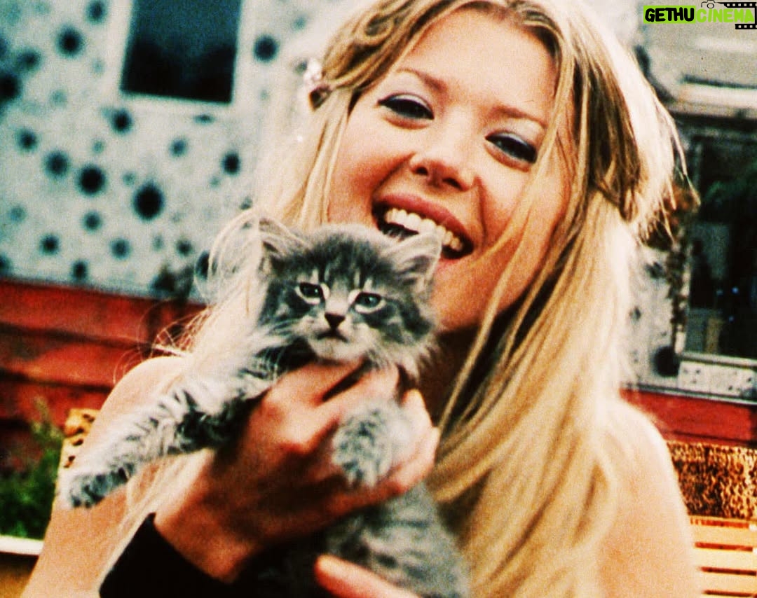 Tara Reid - 4.5K Likes - GUESS WHAT!? Josie & The Pussycats is now streaming on @amazonprime @appletv @peacock 😻😻😻
@universalpictures
@itsparkerposey
@alancummingreally
@rachaelleighcook
@rosariodawson