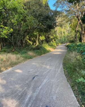 Vaishnavi Prakash Instagram - This is your sign to take a trip down south and explore one of the most serene properties 🫶🏻 

@ayatana.resorts