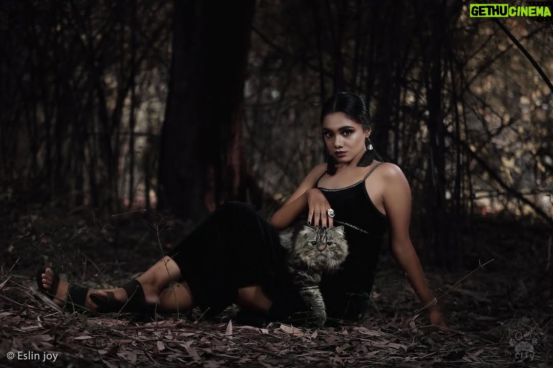 Vishnupriya - 3.9K Likes - Calendar shoot 2022
For @petcitypondy
Siberian cat
Organised by | @razzttagram @missdreamfaactory
In frame | @priya_beyonce
Makeup | @vinotha_makeupartist
Calendar design | @riaz._.z
#pet #petcity #petlovers #dogsofinstagram #cat #siberiancat #siberiancatlover #persiancat ##breeds #dark #fashion #animallovers #newyear2022 #calendar2022 #pondicherry #photography #canon #photoshoot #photoshop #godox #eslinjoyphotography