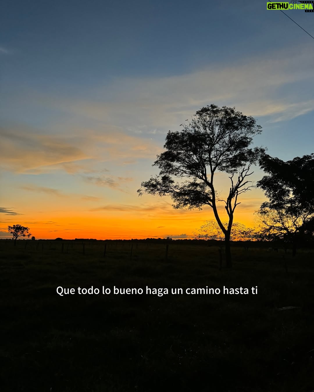 Viviana Serna - 19.5K Likes - Recuerdo más lo que sentí que lo que pasó.