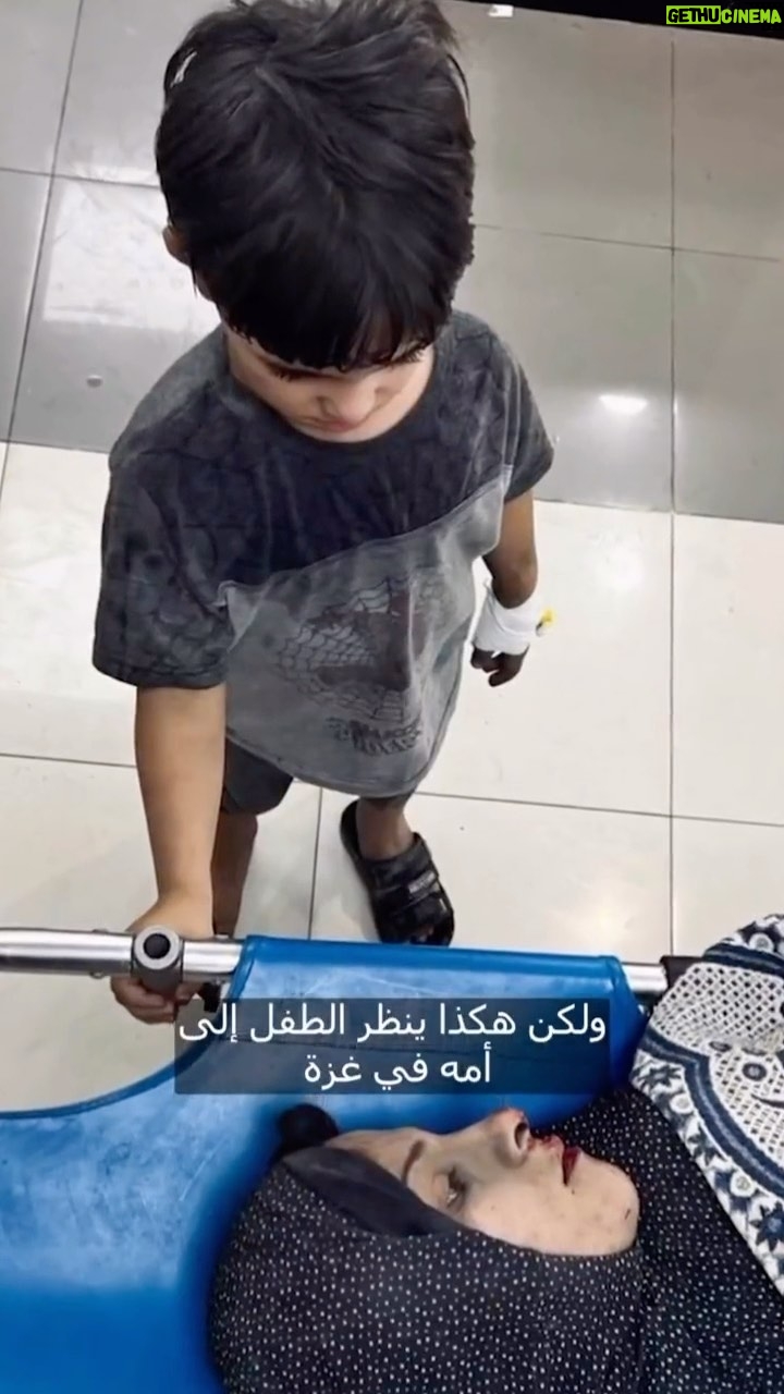 Wafaa El Kilani - 65.3K Likes - 🇵🇸 🇵🇸🇵🇸🇵🇸🇵🇸
#غزة_تحت_القصف
#فلسطين
#gaza
#gazaattack
#freepalestine
#israel
#netanyahu