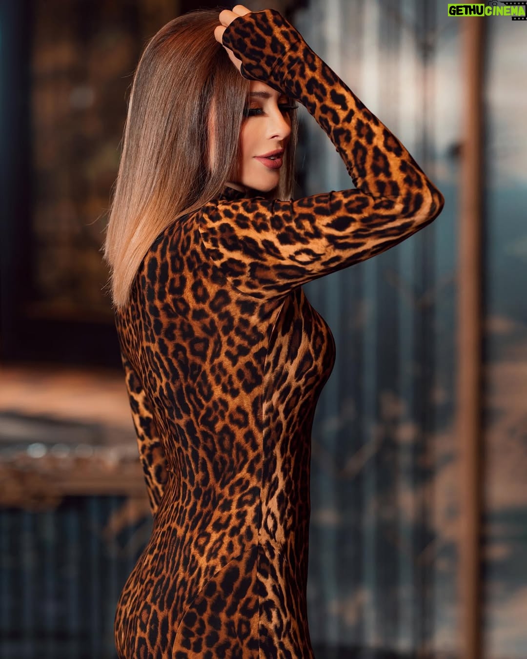 Wafaa El Kilani - 59.2K Likes - #السيرة بكره الخميس
والجمعة على
#dmc
9.30
بتوقيت القاهره
والجمعة الحلقة كامله على #ابو_ظبي 11 بتوقيت الإمارات
@youmnamoustafa
@sohakhoury
@hassanbourji_
@gimoooz
#مصر