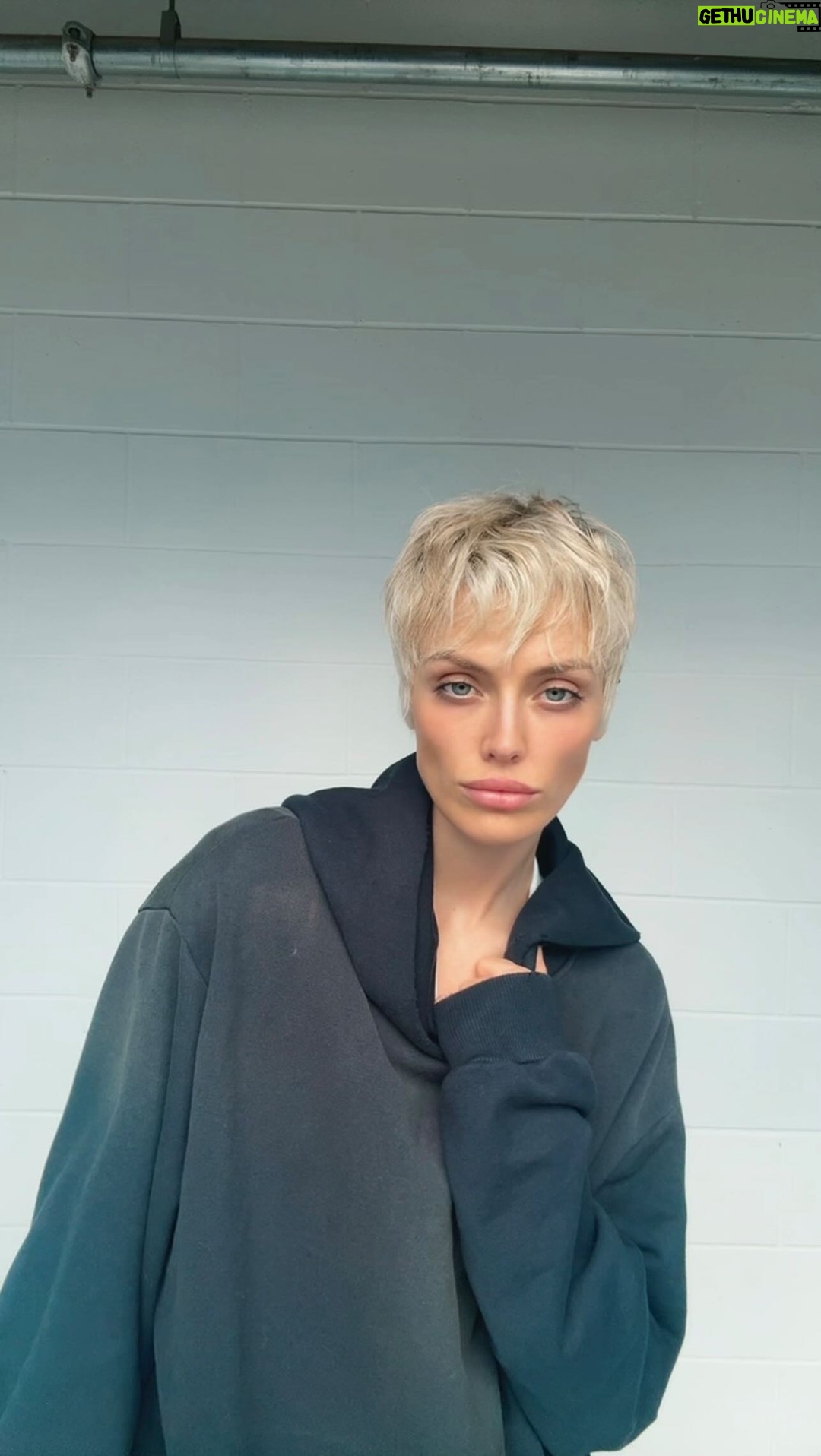 Wallis Day - 10.5K Likes - lil pixie cut today for work 🧚🏻