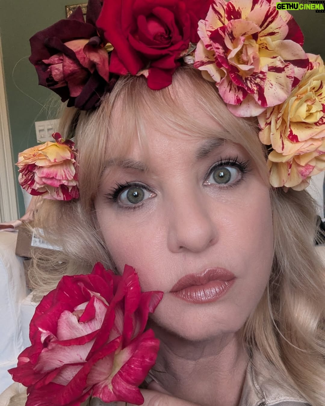 Wendi McLendon-Covey - 2.6K Likes - Spring is here, and our roses are exploding! Straight from the yard and onto my head (you can achieve this look by pushing the thorns directly into your scalp!) Nature! It's right outside!