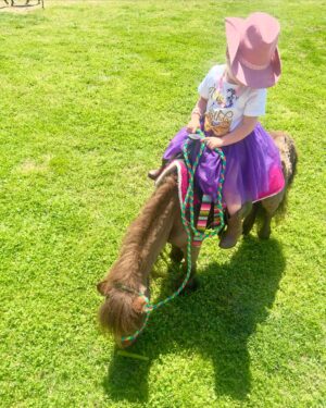 Wynonna Judd Instagram - Had a 🪅 THREE-ESTA 🪅 for our girl’s 3rd birthday! We love a good theme around here. 🌵🌮🎉