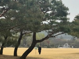 Yang Hee-eun Instagram - 250418/현충원에서...
자식을 가슴에 묻은 부모님들과
그리움의 나날을 보내는 가족들께
위로의 마음 담아 노래로...
덕에 아버지도 뵙고....
#국가보훈처 #현충원
#양희은