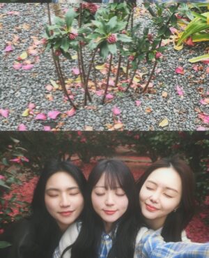Yeo Joo-ha Instagram - 봄아, 비를 내려줘