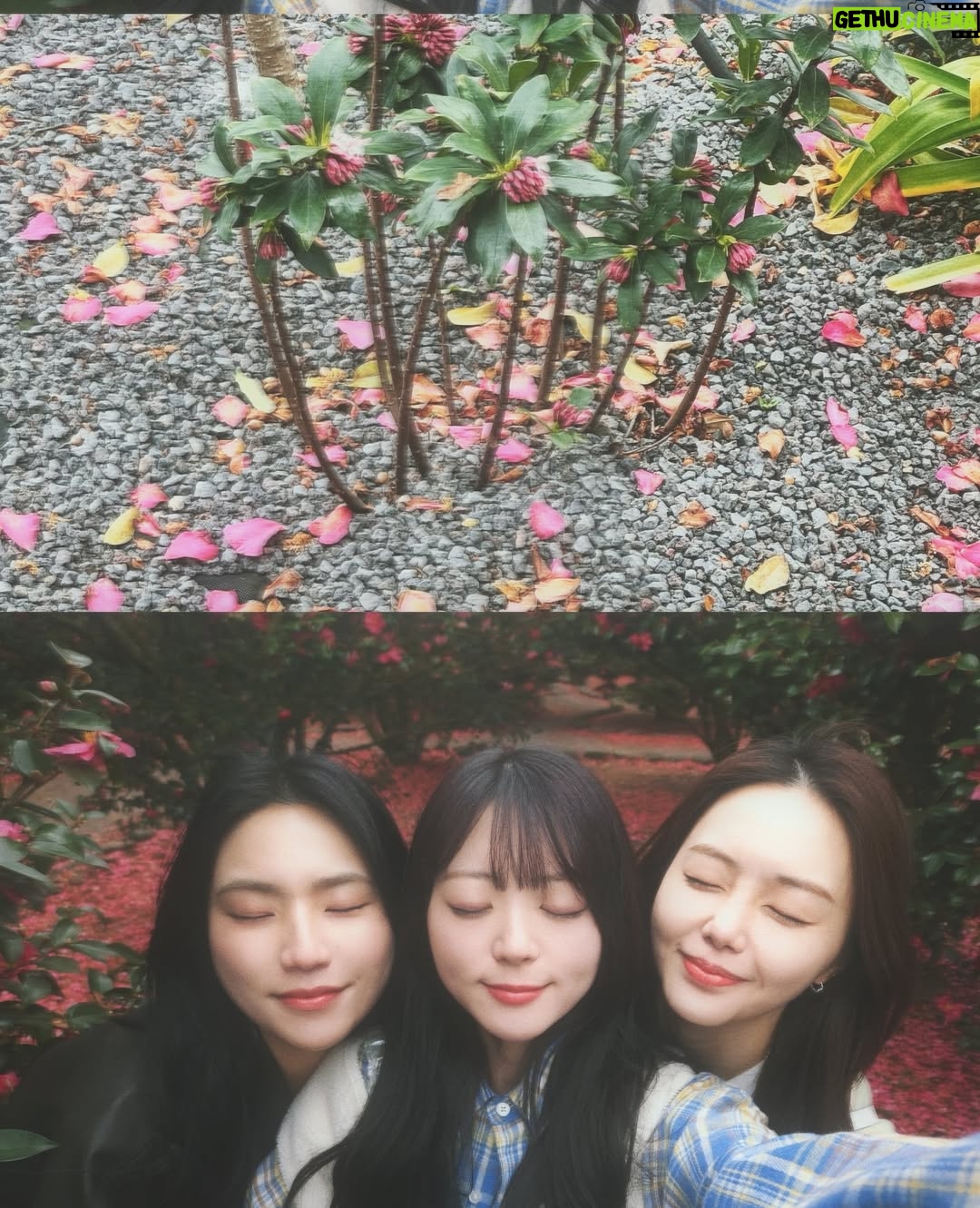 Yeo Joo-ha - 52.8K Likes - 봄아, 비를 내려줘