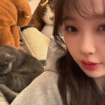 Yu Shuxin
