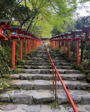 Yuka Iguchi Instagram - 🌸⛩️🚄
久しぶりに日帰り弾丸京都いってきたお(　＾ω＾)

#貴船神社 #上賀茂神社 #等持院 #車折神社 #八坂神社
#滞在時間５時間 #日帰り観光 #京都
#坐禅虚無顔 #ほくそ笑み #おばさん
#立ち姿オバショット #隠しきれないアラフォー感
#運転手さんいつも本当にありがとうございます🫶🏻🌷