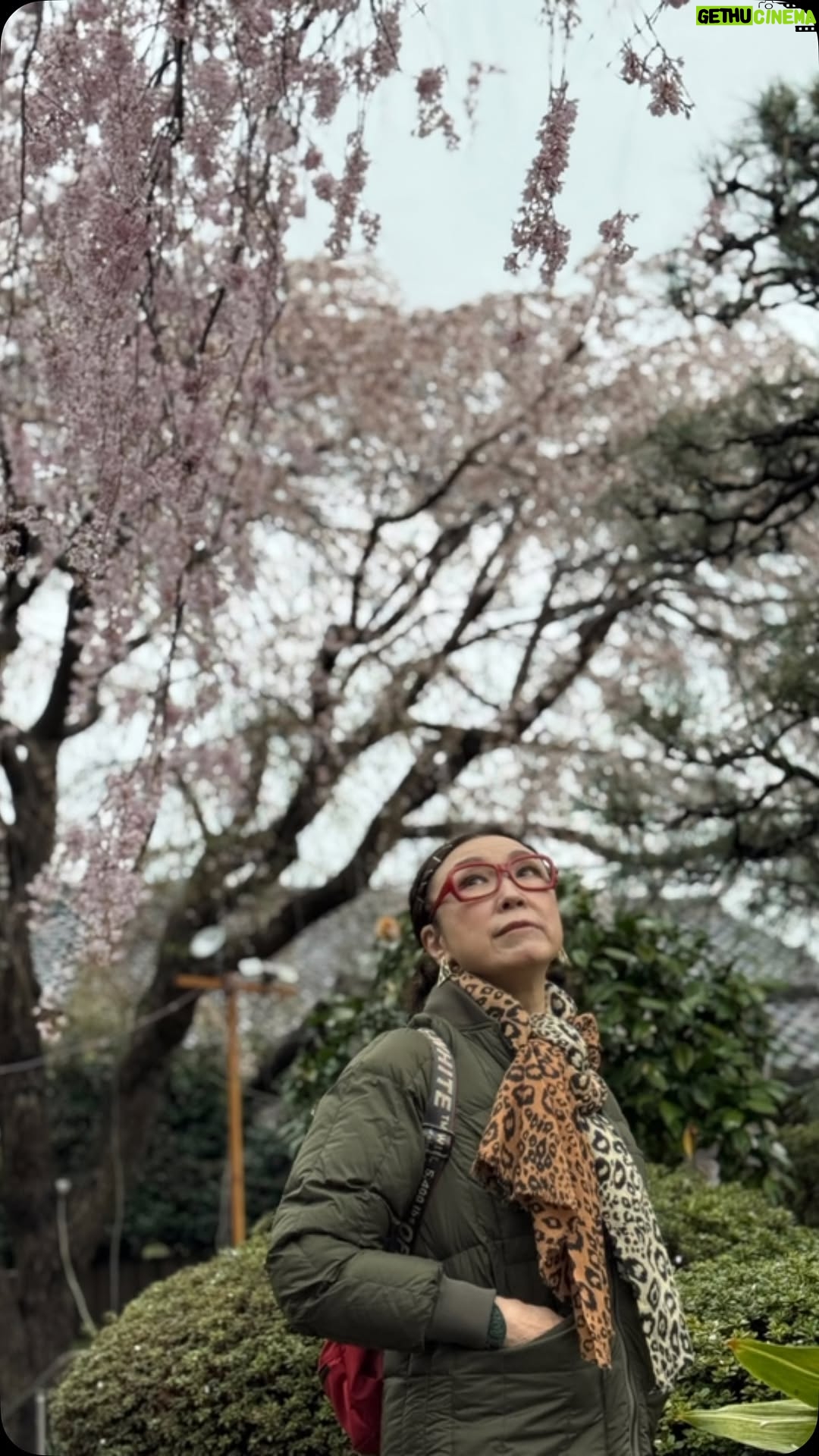 Yumi Matsutoya - 19.5K Likes - 今週のユーミンコード、桜を愛でながら収録。