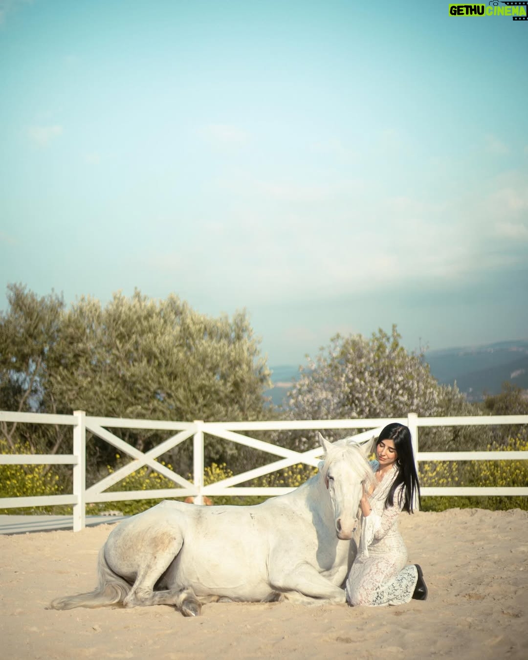 Zeina Makki - 16.3K Likes - April 4 — Happy Rebirth to me 🤍🎂
اليوم أطفئ شمعة أخرى في عمري، لكن النور في داخلي يزداد اشراقاً
احتفلت بنفسي حيث ينتمي قلبي، مع رفيقة روحي..
لا ضجيج…لا مظاهر. لا شيء سوى الأرض تحتنا و السماء فوقنا و الطاقة التي تربطنا بالكون بأسره.
كل ما مضى ورائي، و كل ما ينتظرني أمامي. أمّا الآن، فهذه اللحظة مِلكي … و هي الأجمل
عام جديد يبدأ، وأحمله في قلبي بشغف، بامتنان لكل ما مضى، وبحماس لكل ما ينتظرني.
٣٥ سنة و قلبي أخيراً بمكانه
عيد ميلاد سعيد لي 🤍🦋
📷 @anthony.nassarr