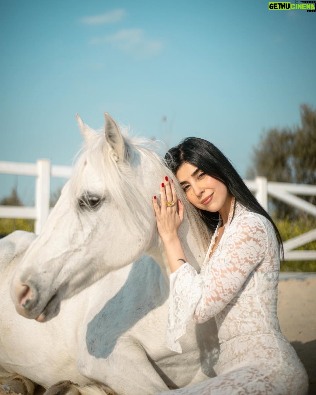 Zeina Makki - 16.3K Likes - April 4 — Happy Rebirth to me 🤍🎂
اليوم أطفئ شمعة أخرى في عمري، لكن النور في داخلي يزداد اشراقاً
احتفلت بنفسي حيث ينتمي قلبي، مع رفيقة روحي..
لا ضجيج…لا مظاهر. لا شيء سوى الأرض تحتنا و السماء فوقنا و الطاقة التي تربطنا بالكون بأسره.
كل ما مضى ورائي، و كل ما ينتظرني أمامي. أمّا الآن، فهذه اللحظة مِلكي … و هي الأجمل
عام جديد يبدأ، وأحمله في قلبي بشغف، بامتنان لكل ما مضى، وبحماس لكل ما ينتظرني.
٣٥ سنة و قلبي أخيراً بمكانه
عيد ميلاد سعيد لي 🤍🦋
📷 @anthony.nassarr