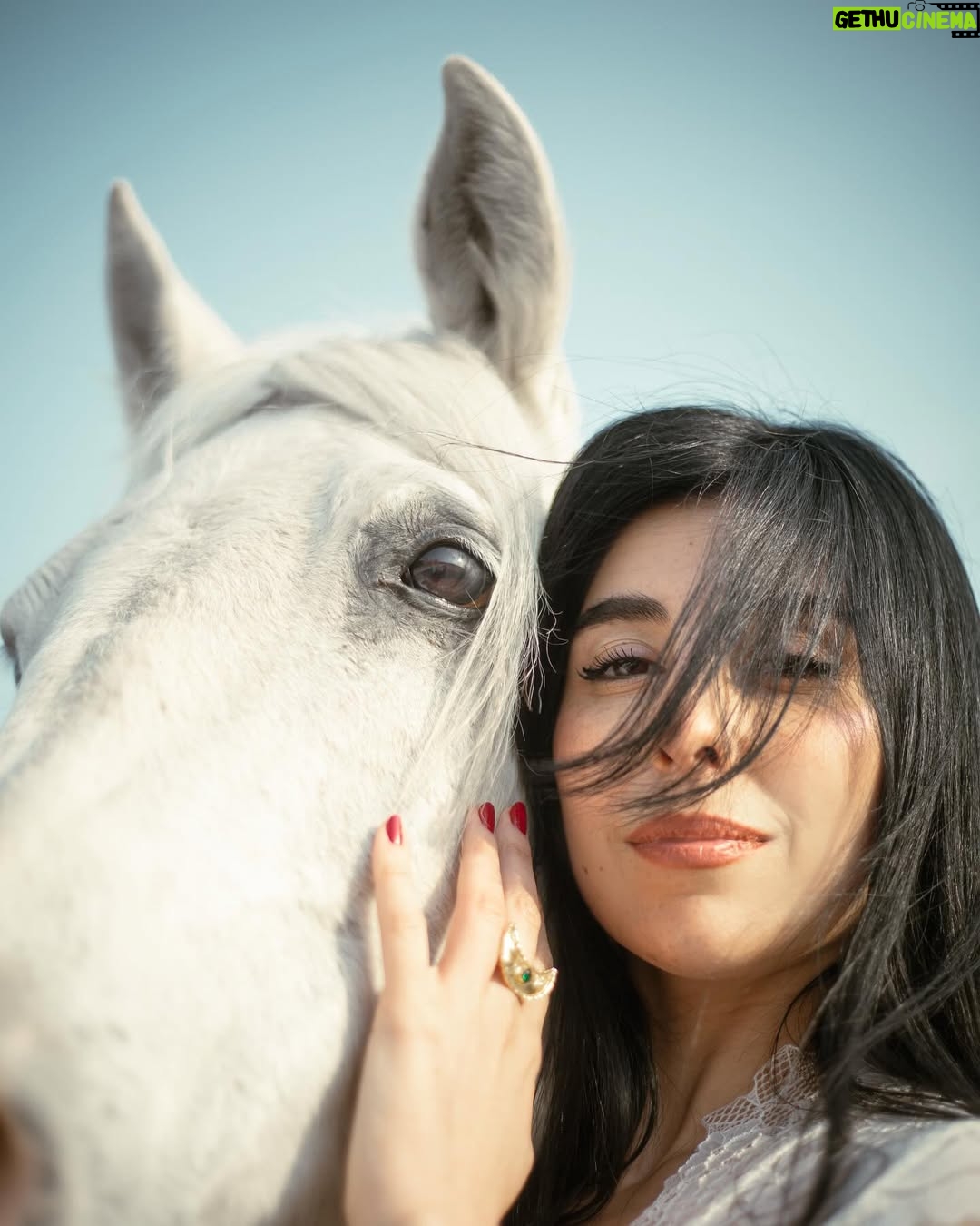 Zeina Makki - 16.3K Likes - April 4 — Happy Rebirth to me 🤍🎂
اليوم أطفئ شمعة أخرى في عمري، لكن النور في داخلي يزداد اشراقاً
احتفلت بنفسي حيث ينتمي قلبي، مع رفيقة روحي..
لا ضجيج…لا مظاهر. لا شيء سوى الأرض تحتنا و السماء فوقنا و الطاقة التي تربطنا بالكون بأسره.
كل ما مضى ورائي، و كل ما ينتظرني أمامي. أمّا الآن، فهذه اللحظة مِلكي … و هي الأجمل
عام جديد يبدأ، وأحمله في قلبي بشغف، بامتنان لكل ما مضى، وبحماس لكل ما ينتظرني.
٣٥ سنة و قلبي أخيراً بمكانه
عيد ميلاد سعيد لي 🤍🦋
📷 @anthony.nassarr