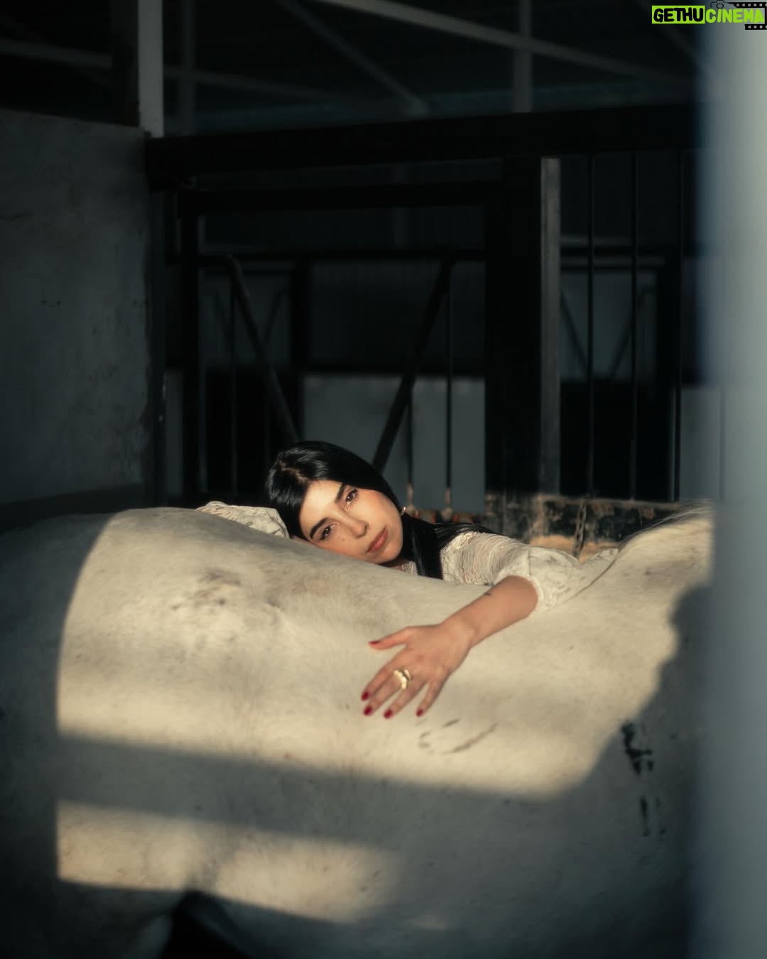Zeina Makki - 16.3K Likes - April 4 — Happy Rebirth to me 🤍🎂
اليوم أطفئ شمعة أخرى في عمري، لكن النور في داخلي يزداد اشراقاً
احتفلت بنفسي حيث ينتمي قلبي، مع رفيقة روحي..
لا ضجيج…لا مظاهر. لا شيء سوى الأرض تحتنا و السماء فوقنا و الطاقة التي تربطنا بالكون بأسره.
كل ما مضى ورائي، و كل ما ينتظرني أمامي. أمّا الآن، فهذه اللحظة مِلكي … و هي الأجمل
عام جديد يبدأ، وأحمله في قلبي بشغف، بامتنان لكل ما مضى، وبحماس لكل ما ينتظرني.
٣٥ سنة و قلبي أخيراً بمكانه
عيد ميلاد سعيد لي 🤍🦋
📷 @anthony.nassarr