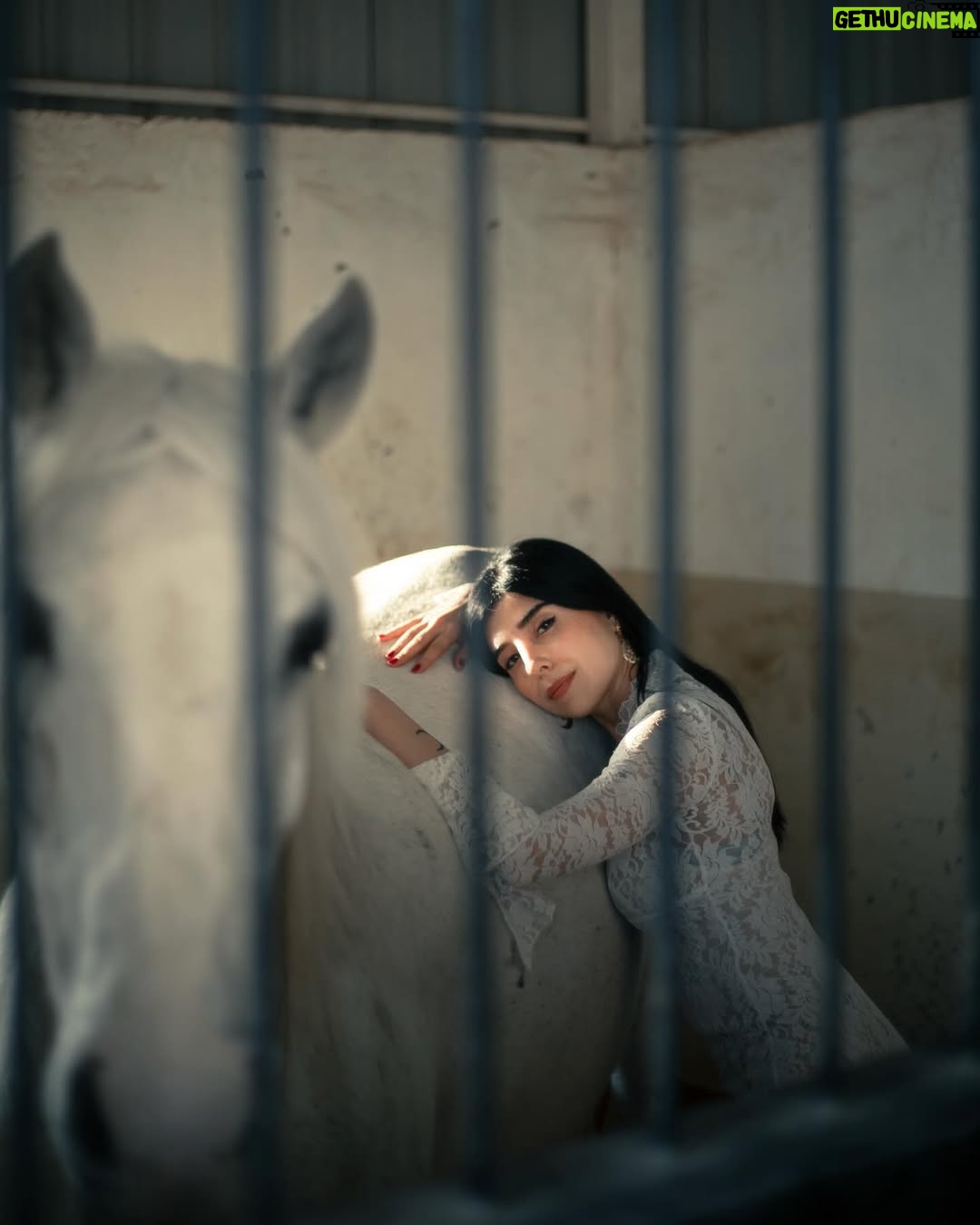 Zeina Makki - 16.3K Likes - April 4 — Happy Rebirth to me 🤍🎂
اليوم أطفئ شمعة أخرى في عمري، لكن النور في داخلي يزداد اشراقاً
احتفلت بنفسي حيث ينتمي قلبي، مع رفيقة روحي..
لا ضجيج…لا مظاهر. لا شيء سوى الأرض تحتنا و السماء فوقنا و الطاقة التي تربطنا بالكون بأسره.
كل ما مضى ورائي، و كل ما ينتظرني أمامي. أمّا الآن، فهذه اللحظة مِلكي … و هي الأجمل
عام جديد يبدأ، وأحمله في قلبي بشغف، بامتنان لكل ما مضى، وبحماس لكل ما ينتظرني.
٣٥ سنة و قلبي أخيراً بمكانه
عيد ميلاد سعيد لي 🤍🦋
📷 @anthony.nassarr