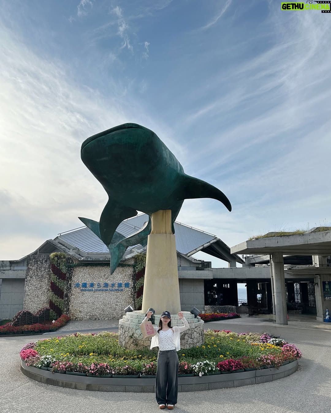 mako - 8.1K Likes - この日のメインはビーチと美ら海水族館🐚🧜♀️
この前YouTubeでも紹介したこのカーディガン
紫外線対策として持っていったんですけど丁度よかった!
この日は全身GRLコーデ。
古宇利島に行く途中で見つけた
人が全然いない穴場のビーチ…🌴
海見ながらぼーっとする時間が凄く幸せでした
昼寝しちゃいたいくらいだった
📍屋我地ビーチ🏝️
(景色も良くてとてもおすすめです!)
お昼ご飯は
5910 sa-ta-café でタコライス食べました
沖縄そばもありました!
お店の雰囲気が凄く好み〜 黒糖もお土産で売ってました✦️
美ら海水族館だっいすきで
今回絶対坊や連れて行きたい所の1つでした
ジンベイザメ( ・_______・ )好き!
大きくてカッコよかった🪸
あと質問もきてたので
この時使ってた日焼け止めはこの2つです!
右が顔用。左がからだ用。
左のはスプレータイプになってるから
手が汚れなくて楽ちんてす😊👌
とにかく癒された日!!!!!!!🌼