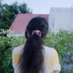 rj shree