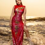 veena jessi