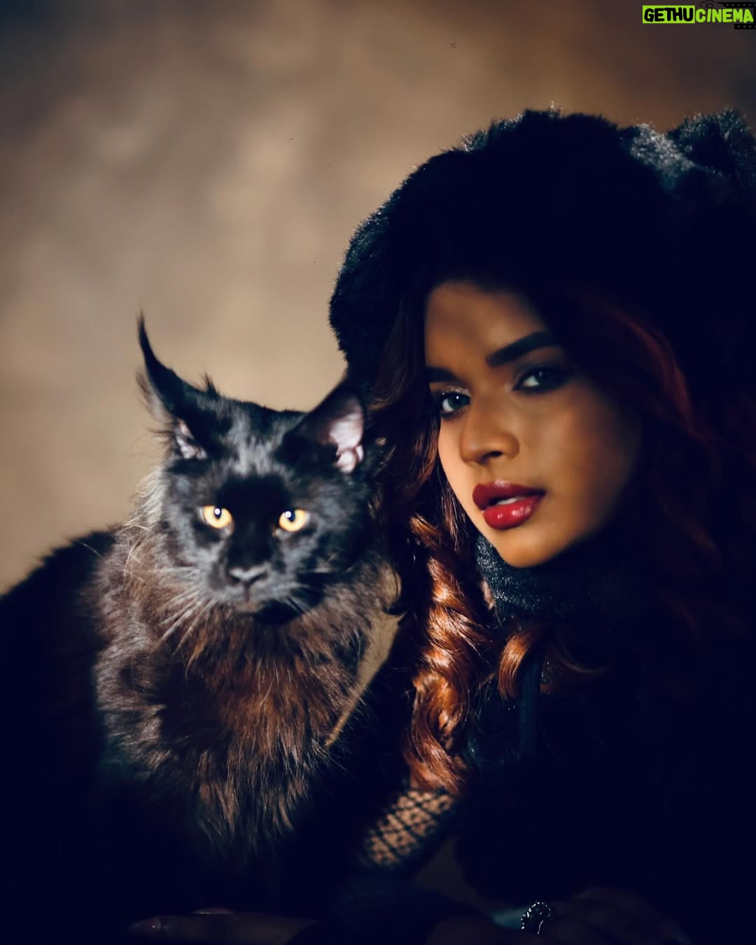 veena jessi - 706 Likes - HALF GODDESS HALF DEVIL 🐈⬛
With my son PANTHER 🖤
Shot by @pix_depth_photography
#fashionshoot #catsofinstagram #mainecoonsofinstagram #blackcat #feline #catlady #catwomen #catstagram #fashionblogger #styleblogger #trending #explorepage