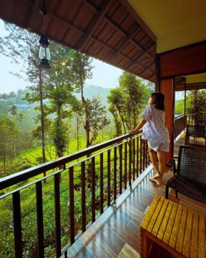 Aarya Maya Instagram - Wayanad - part 1 🌱🤍

Stay : @vythiristreamview 
Dress : @deebaco_official 

#wayanad #keralatrip #kerala #malayalis