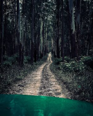 Aarya Maya Instagram - Wayanad - part 1 🌱🤍

Stay : @vythiristreamview 
Dress : @deebaco_official 

#wayanad #keralatrip #kerala #malayalis