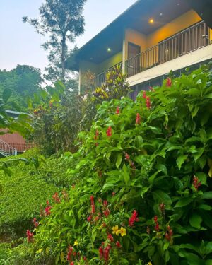 Aarya Maya Instagram - Wayanad - part 1 🌱🤍

Stay : @vythiristreamview 
Dress : @deebaco_official 

#wayanad #keralatrip #kerala #malayalis