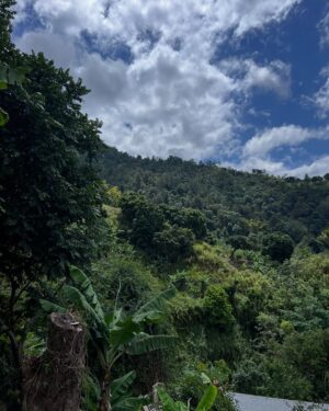 Afua Hirsch Instagram - Jamaica 🇯🇲🖤🇯🇲

Finally got to visit Professor Sonjah Naiah @culturedoctor at the Center for Reparations Research in person for the first time 

Rested in the mountains and visited Uncle Wray :) The abundance of clear springs and white rum… Communed with many ancestors. Blessings upon blessings 

Thank you for having me 🙇🏽‍♀️🇯🇲🙌🏽
#jamaica 
#reparations
#diaspora 
@uwimona