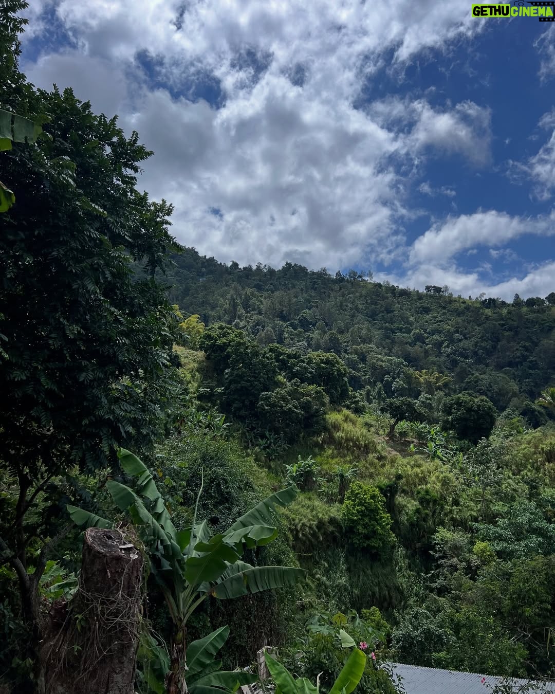 Afua Hirsch - 2K Likes - Jamaica 🇯🇲🖤🇯🇲
Finally got to visit Professor Sonjah Naiah @culturedoctor at the Center for Reparations Research in person for the first time
Rested in the mountains and visited Uncle Wray :) The abundance of clear springs and white rum… Communed with many ancestors. Blessings upon blessings
Thank you for having me 🙇🏽♀️🇯🇲🙌🏽
#jamaica
#reparations
#diaspora
@uwimona
