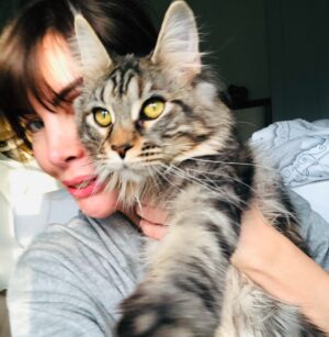 Agnieszka Dygant Instagram - #dzieńkotajestcodziennie 😉❤️ 
Dziękuję @catmintcattery za najwspanialsze Koty na świecie🫶