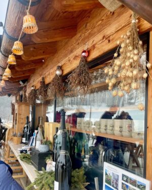 Agnieszka Dygant Instagram - #holiday #winter #ski
