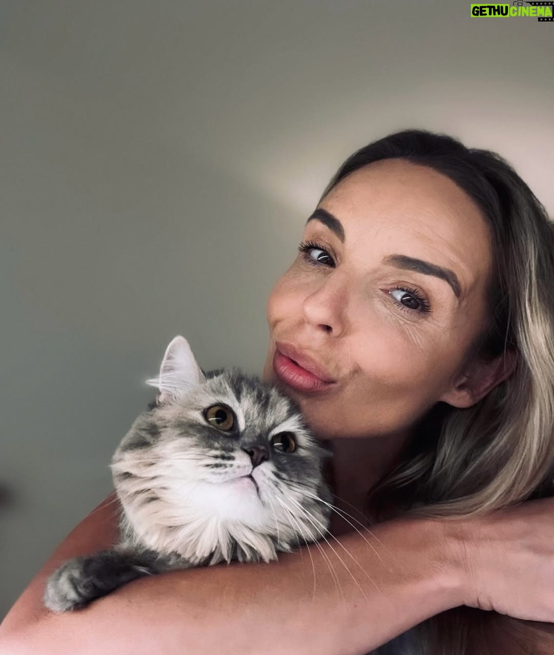 Agnieszka Włodarczyk - 3.9K Likes - Zwierzęta nigdy nie pytają, kim jesteś, ile masz na koncie, w jakim jesteś nastroju. Kochają i uczą nas kochać.
Każde z nich-towarzysz z dzieciństwa, ten uratowany z ulicy, czy ten, który zasypia przy Tobie co wieczór, zostawia ślad. Niewidoczny dla oka, ale wyczuwalny dla duszy.
Bo miłość do zwierząt to coś więcej niż wspólne spacery, karmienie, głaskanie. To czułość w spojrzeniu, zaufanie w milczeniu i lojalność, jakiej często nie doświadczamy nawet między ludźmi.
Dają nam wszystko, nie oczekując niczego poza obecnością.
No i może dobrym jedzonkiem😉
Może właśnie dlatego ich miłość jest tak czysta. I tak boli, kiedy odchodzą.
Ale nawet wtedy zostają w sercu.
A Wy?
Dorastaliście ze zwierzętami?
A jeśli nie to czy Wam ich brakowało?
Macie je dziś?
A może marzycie, by Wasze dzieci mogły dorastać z przyjacielem obok?
#zwierzęta #kochamzwierzęta #przyjacielnażycie #pies #kot #miłośćdozwierząt #animals #animallovers #petlove #doglovers #catlovers #petstagram #petsofinstagram #dogsofinstagram #catsofinstagram #loveanimals #animalcompassion #petsarefamily