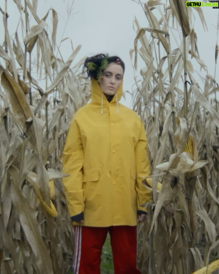 Alina Pash - 3.7K Likes - 7 years ago, «Bitanga» came to life. It was more than a debut — it was a dream taking its first breath.
I’m grateful for every step since that first spark. The journey goes on. 🌿✨