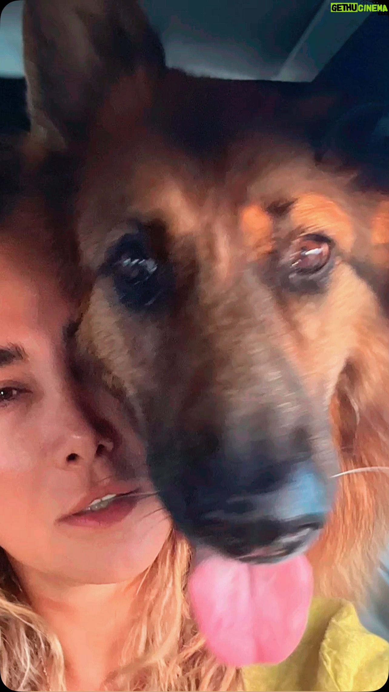 Ana Nemati - 3 Likes - Angel BERNA
#annalema0 #love #animalovers #annanemati