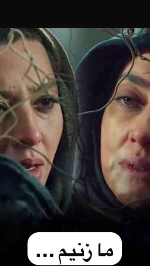 Anahita Dargahi Instagram - .
سریال غربت ساخته شد تا 
راوی قدمی رو به جلو در اتحاد زنها باشد...
زنهایی تحت ظلم که دریافتند اتحاد
 تنها راه نجات از #غربت است...
زنهایی که برای نجات ؛ جان خود را قمار کردند
 تا شاید نسل بعد از انها زندگی بهتری داشته باشند…شاید؛ 
من زنم، ما زنیم...
.
لذت سومین همکاری با اناهیتا درگاهی عزیزم 
و بازی در شرایط بسیار بسیار سخت و سرد با 
هدف اجرای دقیق و درست این دوشخصیت خاص در قصه غریب غربت…
با هدایت امیرپورکیان عزیز و همکاری یک گروه همدل و کوشا و درخشان💫🙏🏼♥️
در ضمن خیلی خیلی ممنونم از همراهی دلگرم کننده شما…😍🙏🏼
.
‏@sadeghyariofficial 
‏@mehdiyari_producer 
‏@amirpourkian 
‏@shahab_mozaffari 
‏@anahita 
‏@mehdi.hoseininia 
‏@baharekianafshar 
‏@tarlan_parvanee 
‏@hoseinmehrii 
‏@setayesh_nia 
‏@seetare.parvin 
‏@maralmohajer_ 
‏@safura_khoshtinat 
‏@susanparvar 
‏@maryamkia12 
‏@rabiniktalab 
‏@aidajafariii 
‏@loui.seyfi 
‏@farid.ghobadi 
‏@hamedrassouli 
‏@ladanzhafe 
‏@mehdimayamey
‏@nader_bolfayi1990 
‏@saman.moradifard 
‏@iraj_rahmani2
‏@alireza.hanifi37
‏@namava_ir
‏@nazaninfekrat
#سریال_غربت