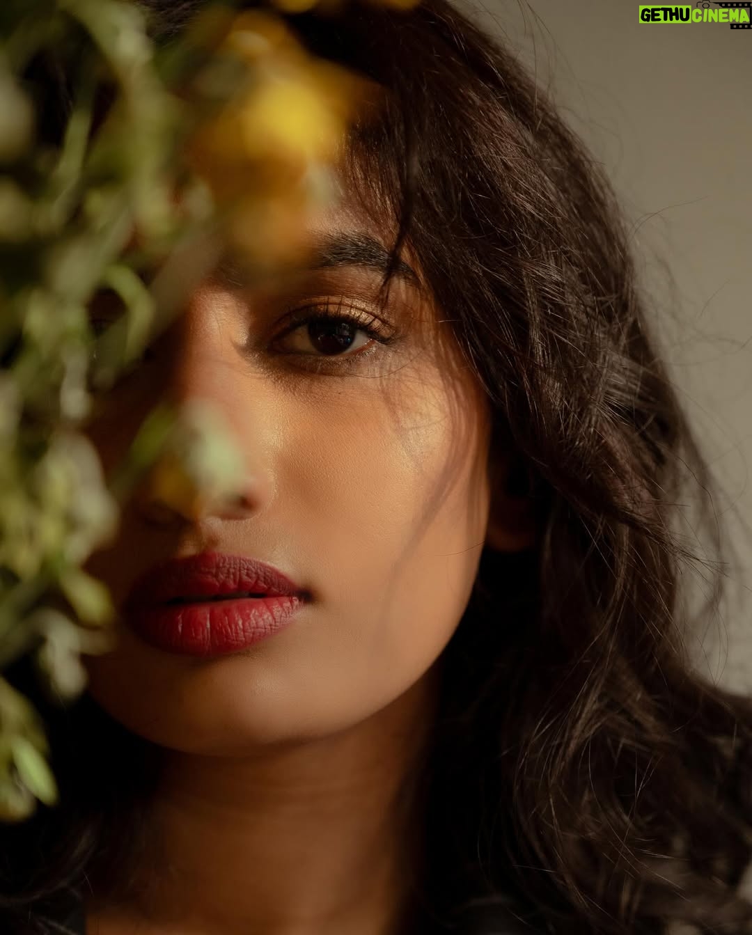 Anjali Anish - 2K Likes - 🌻