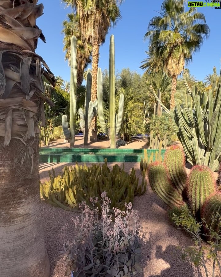 Beverly Osu - 3 Likes - YSL Museum 🎞️📽️
Lately I ve been practicing slow living… I’m in calm ☺️
#yslmuseum #addiassambas #slowliving