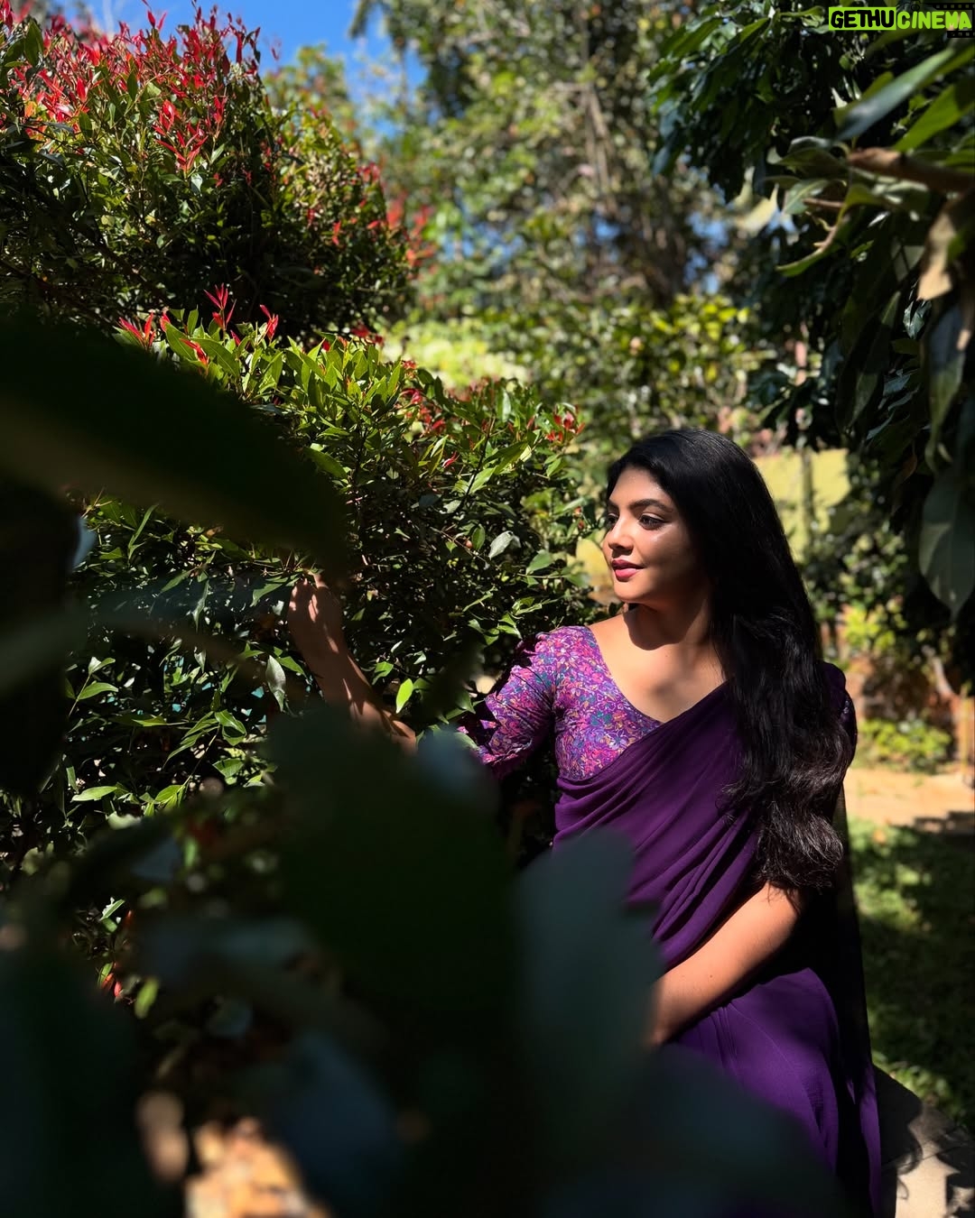 Bindu Gowda - 13K Likes -