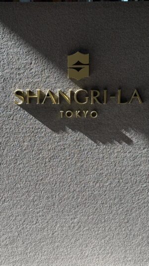Brandy Ledford Instagram - The @shangrila_tokyo is unbeatable 🌸 Thank you to everyone at this very special hotel, for making this girls dreams come true. 

I cannot say enough good things about the people of Japan, but none kinder or lovelier than every single person at this hotel. You have my utmost respect🙏🏼
I can’t wait to see you again🩷
A very Special thank you to @suttermatt for everything 💕

Perfect perfect hotel. 

So excited to show you all their spa 🙌🏼 💦

#shangrilahotel #shangrilatokyo #japan #sakura #sakuraseason 🌸