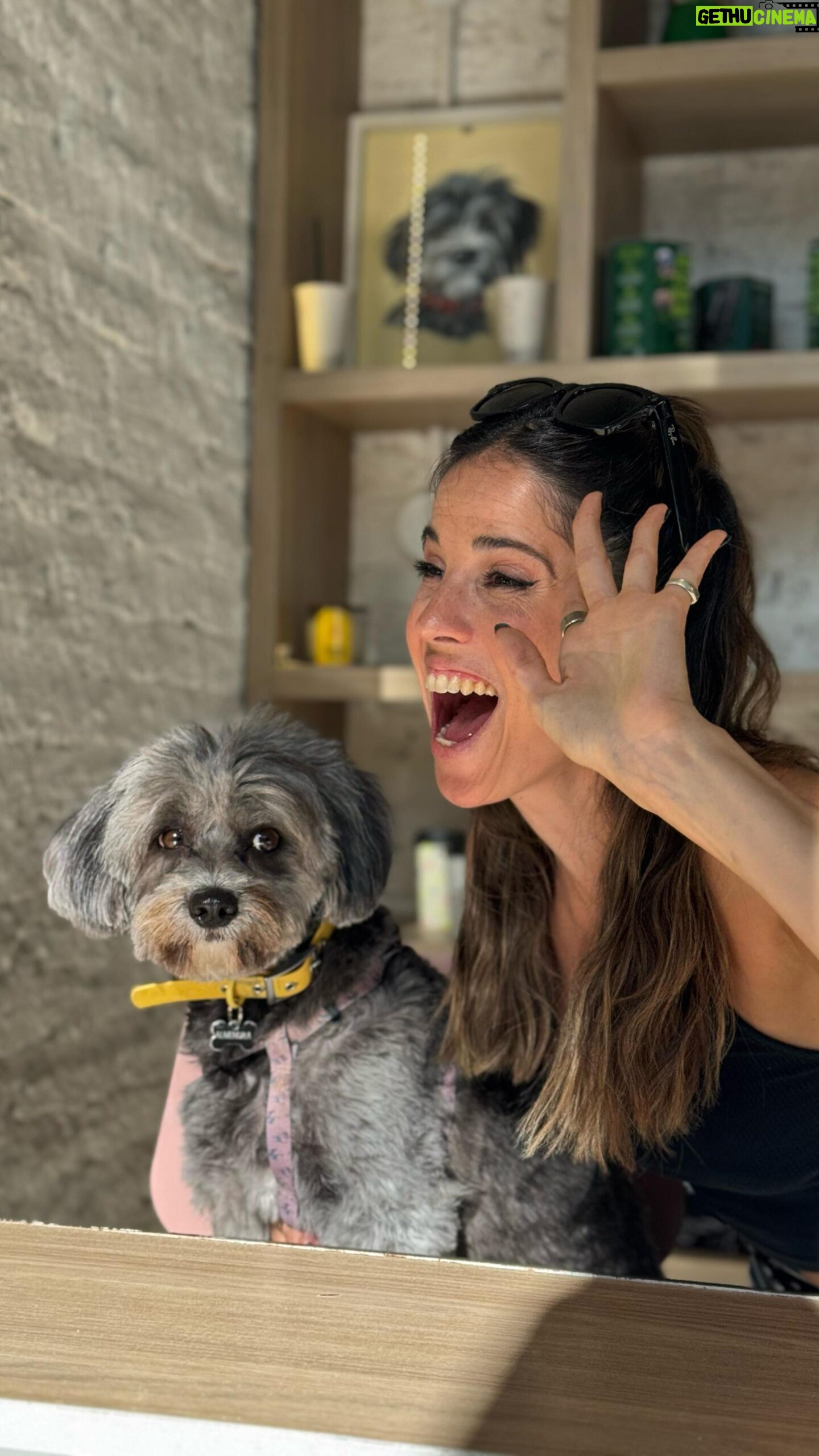 Candelaria Molfese - 11.5K Likes - ¿Borja o Almendra? ☕️🐶
Muy difícil la pregunta 😉😉😉