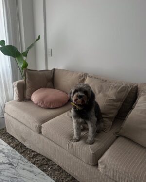 Candelaria Molfese Instagram - Un random de mitad de semana ❤️
1. Una escapada a 🇺🇾 
2. Encontre hoponopono ❤️
3. Los mates te salvan siempre 
4. Mi mejor amigo y yo de joda 
5. Playitaaaa
6. Una lloradita y a seguir
7. Es dueña de todo 
8. Que no se corte @brendagandiniok 
9. Me encontré a mis hermanas en el gym 
10. Los besos siempre sanan 
11. La familia q elegí 
12. Un atardecer ❤️