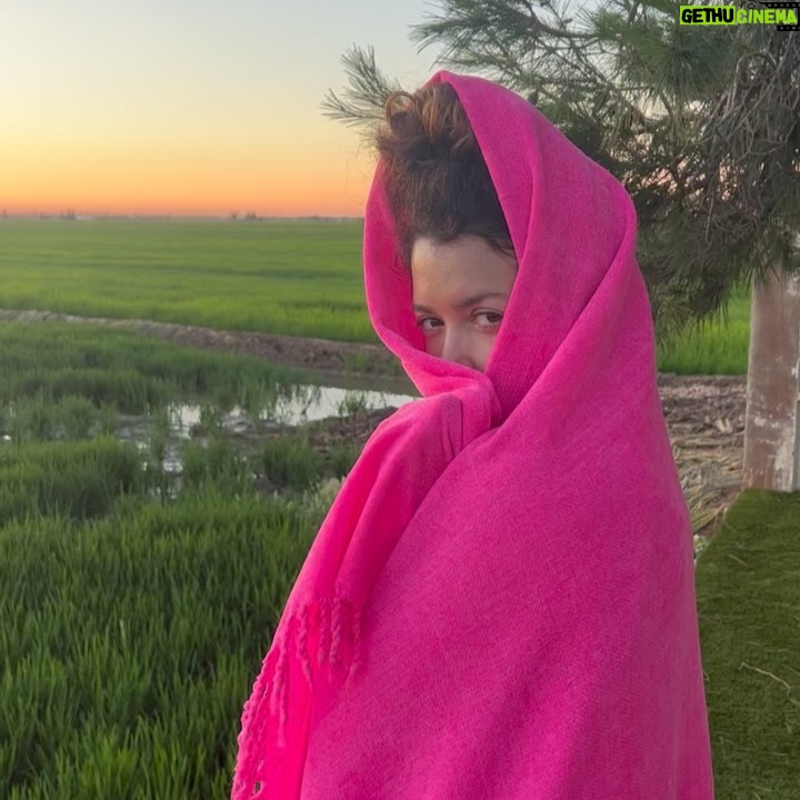 Carol Rovira - 7.4K Likes - Els que em coneixeu bé sabeu què significa Lo Toll per a mi. I lo que m’agrada compartir-lo en la meua gent. Un indret humil però carregat d’història, menjades (la majoria de vegades, la paella és la protagonista), riures, xerrades, postes de sol, família, amistats, bones lectures i migdiades eternes.
Un indret especial al mig dels camps d’arròs del meu estimat i amenaçat Delta, on em sento més jo que mai🌾
La gran @nuria_moliner encapçala el programa ENTRE QUATRE PARETS, on parlem de la vida, del Delta i d’aquesta professió que m’acompanya ara ja fa uns quants anys i que em fa anar sempre amunt i avall… Això sí, per molt lluny que estigui, per molt que viatgi, el meu cor sempre està en aquesta terra de fang i arròs🤍🌾🦩
Gràcies a tot l’esquip de @prestalgia__ per plasmar de manera tan poètica i genuïna el que tot això significa per a mi. Si em voleu conèixer una miqueta més teniu ja el capítol disponible a la plataforma de @som3cat @3catcultura 🫶🏽💫