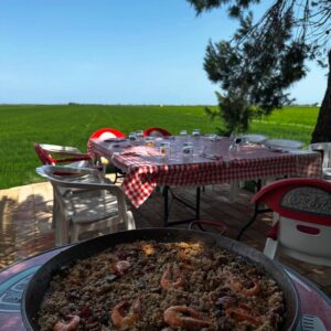 Carol Rovira Instagram - Els que em coneixeu bé sabeu què significa Lo Toll per a mi. I lo que m’agrada compartir-lo en la meua gent. Un indret humil però carregat d’història, menjades (la majoria de vegades, la paella és la protagonista), riures, xerrades, postes de sol, família, amistats, bones lectures i migdiades eternes. 
Un indret especial al mig dels camps d’arròs del meu estimat i amenaçat Delta, on em sento més jo que mai🌾

La gran @nuria_moliner encapçala el programa ENTRE QUATRE PARETS, on parlem de la vida, del Delta i d’aquesta professió que m’acompanya ara ja fa uns quants anys i que em fa anar sempre amunt i avall… Això sí, per molt lluny que estigui, per molt que viatgi, el meu cor sempre està en aquesta terra de fang i arròs🤍🌾🦩 

Gràcies a tot l’esquip de @prestalgia__ per plasmar de manera tan poètica i genuïna el que tot això significa per a mi. Si em voleu conèixer una miqueta més teniu ja el capítol disponible a la plataforma de @som3cat @3catcultura 🫶🏽💫