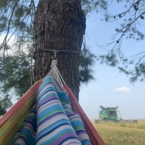 Carol Rovira Instagram - Els que em coneixeu bé sabeu què significa Lo Toll per a mi. I lo que m’agrada compartir-lo en la meua gent. Un indret humil però carregat d’història, menjades (la majoria de vegades, la paella és la protagonista), riures, xerrades, postes de sol, família, amistats, bones lectures i migdiades eternes. 
Un indret especial al mig dels camps d’arròs del meu estimat i amenaçat Delta, on em sento més jo que mai🌾

La gran @nuria_moliner encapçala el programa ENTRE QUATRE PARETS, on parlem de la vida, del Delta i d’aquesta professió que m’acompanya ara ja fa uns quants anys i que em fa anar sempre amunt i avall… Això sí, per molt lluny que estigui, per molt que viatgi, el meu cor sempre està en aquesta terra de fang i arròs🤍🌾🦩 

Gràcies a tot l’esquip de @prestalgia__ per plasmar de manera tan poètica i genuïna el que tot això significa per a mi. Si em voleu conèixer una miqueta més teniu ja el capítol disponible a la plataforma de @som3cat @3catcultura 🫶🏽💫