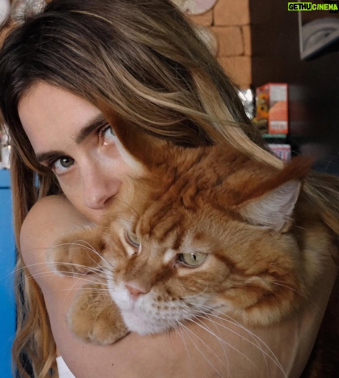 Carolina Dieckmann - 3 Likes - já agarrou seu pet hoje???
