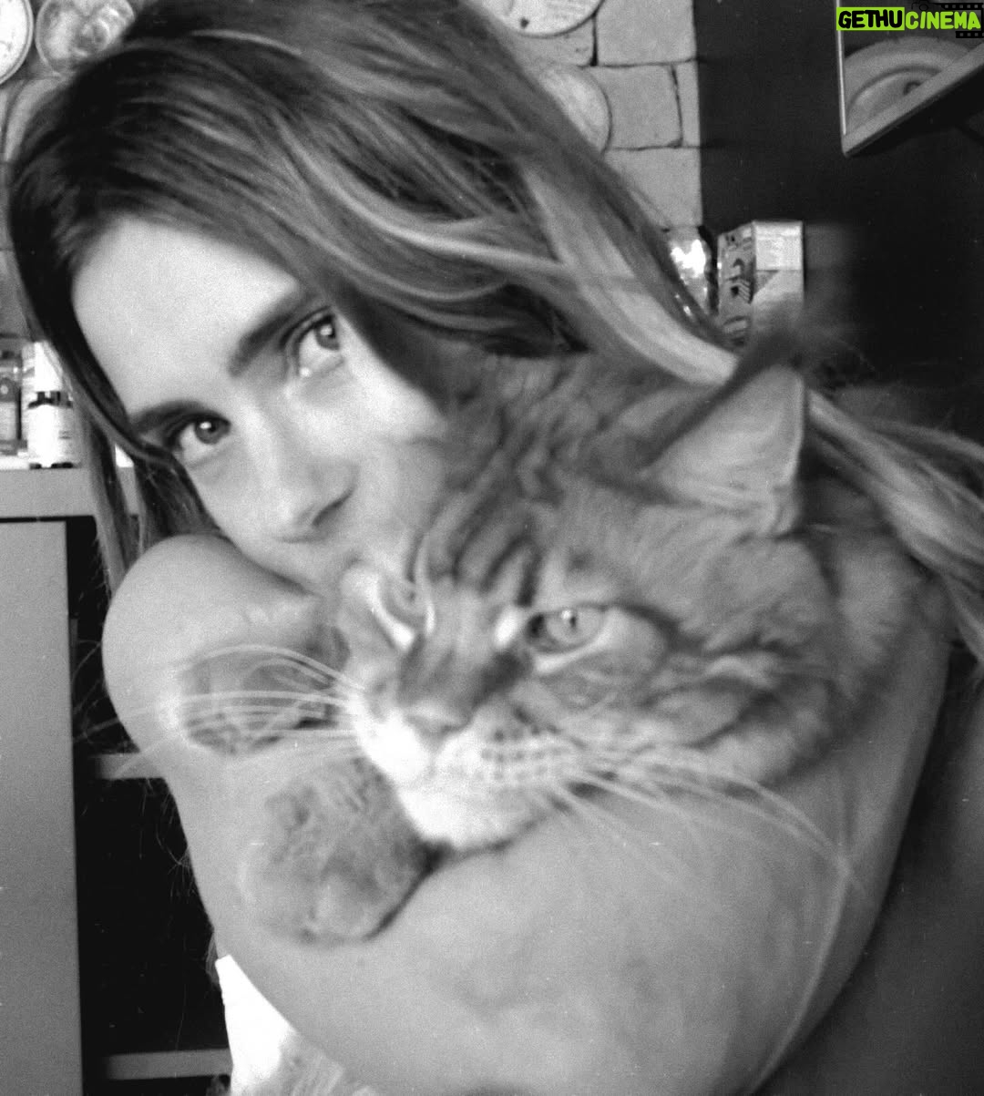 Carolina Dieckmann - 3 Likes - já agarrou seu pet hoje???