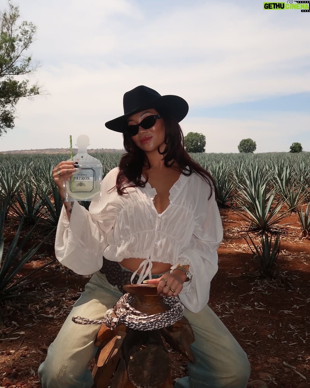 Cassie Yeung - 32.3K Likes - Proud @patron mommy! She’s additive free and hand-crafted with care 💚 #patrontequila #patronpartner